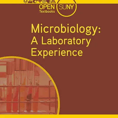 MICROBIOLOGY: A LABORATORY EXPERIENCE primary image